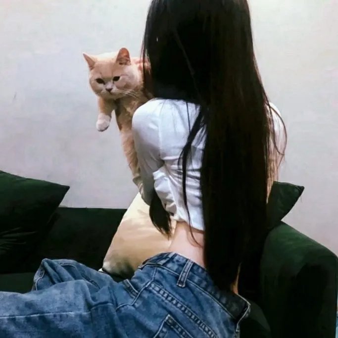 疯狂的兔子 高清封面